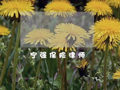 宁强保险律师 宁强保险律师