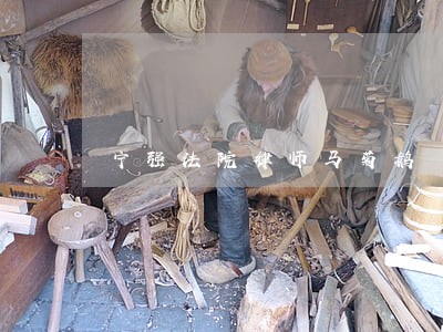 宁强法院律师马菊鹅