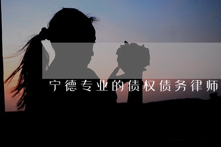 宁德专业的债权债务律师多少钱