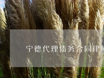 宁德代理债务合同律师推荐 宁德代理债务合同律师推荐