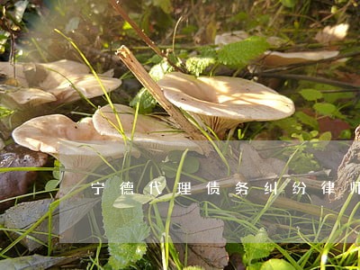 宁德代理债务纠纷律师推荐 宁德代理债务纠纷律师推荐