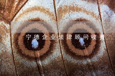 宁德企业法律顾问收费 宁德企业法律顾问收费