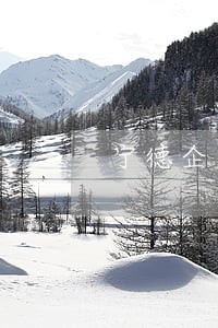 宁德企业环境保护律师参谋 宁德企业环境保护律师参谋