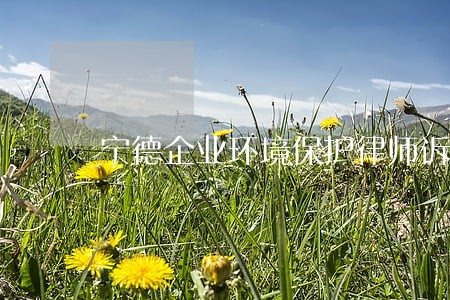 宁德企业环境保护律师诉讼 宁德企业环境保护律师诉讼