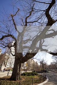 宁德债务债权律师费用 宁德债务债权律师费用