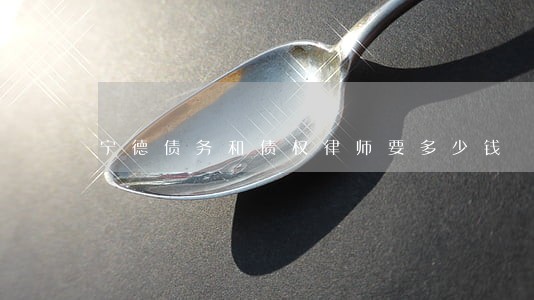 宁德债务和债权律师要多少钱 宁德债务和债权律师要多少钱