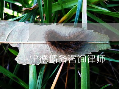 宁德债务咨询律师 宁德债务咨询律师