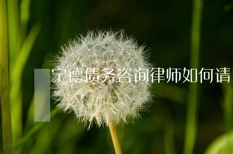 宁德债务咨询律师如何请 宁德债务咨询律师如何请