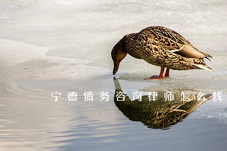 宁德债务咨询律师怎么找 宁德债务咨询律师怎么找