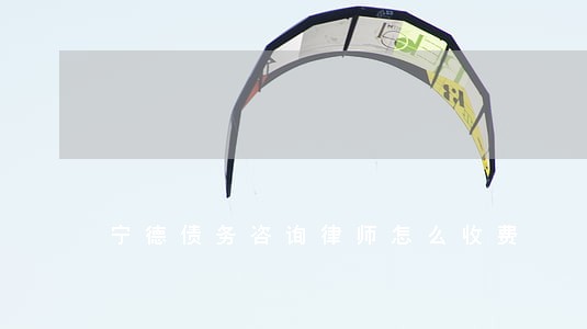 宁德债务咨询律师怎么收费