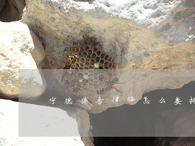 宁德债务律师怎么委托 宁德债务律师怎么委托