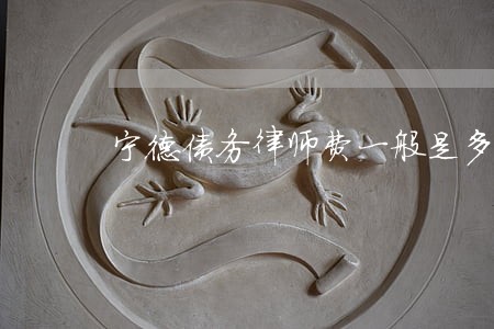 宁德债务律师费一般是多少 宁德债务律师费一般是多少
