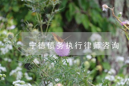 宁德债务执行律师咨询 宁德债务执行律师咨询