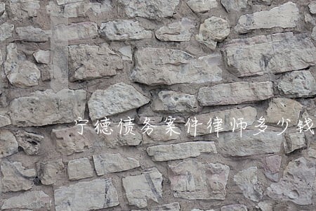 宁德债务案件律师多少钱 宁德债务案件律师多少钱