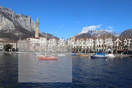 宁德债务纠纷律师哪个好