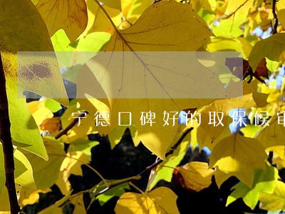宁德口碑好的取保候审律师 宁德口碑好的取保候审律师