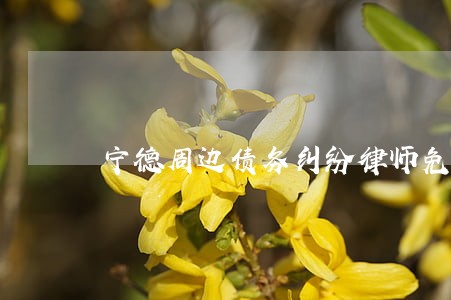 宁德周边债务纠纷律师免费咨询 宁德周边债务纠纷律师免费咨询