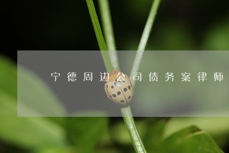 宁德周边公司债务案律师免费咨询 宁德周边公司债务案律师免费咨询