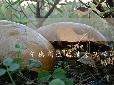 宁德周边找债务风险代理律师 宁德周边找债务风险代理律师