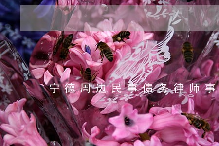 宁德周边民事债务律师事务所 宁德周边民事债务律师事务所