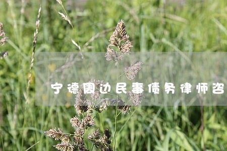 宁德周边民事债务律师咨询