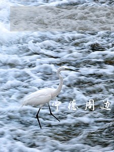 宁德周边民事债务律师联系电话