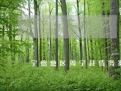宁德地区周宁县债务案件律师 宁德地区周宁县债务案件律师