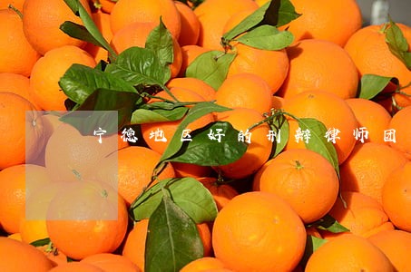 宁德地区好的刑辩律师团队 宁德地区好的刑辩律师团队