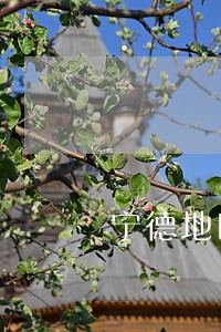 宁德地区民事债务律师哪个好 宁德地区民事债务律师哪个好