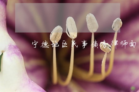 宁德地区民事债务律师面谈 宁德地区民事债务律师面谈