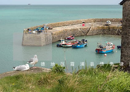 宁德地区霞浦县债务律师 宁德地区霞浦县债务律师