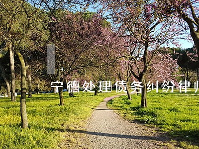 宁德处理债务纠纷律师推荐 宁德处理债务纠纷律师推荐