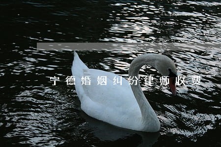 宁德婚姻纠纷律师收费 宁德婚姻纠纷律师收费