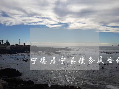 宁德寿宁县债务风险代理律师 宁德寿宁县债务风险代理律师