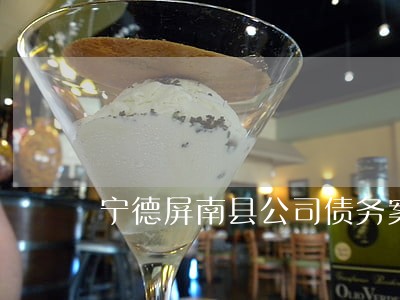 宁德屏南县公司债务案律师 宁德屏南县公司债务案律师