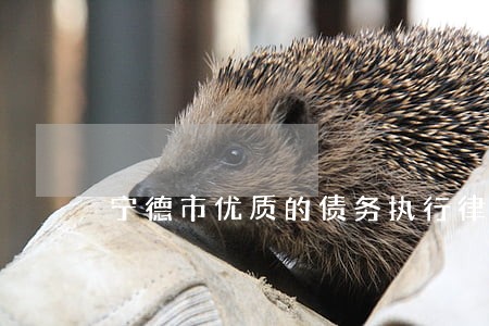 宁德市优质的债务执行律师 宁德市优质的债务执行律师