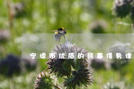 宁德市优质的民事债务律师 宁德市优质的民事债务律师