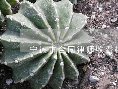 宁德市合同律师收费标准 宁德市合同律师收费标准