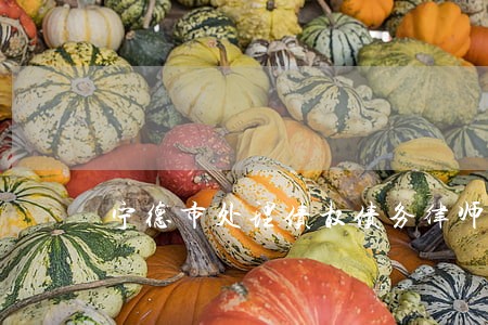 宁德市处理债权债务律师推荐 宁德市处理债权债务律师推荐