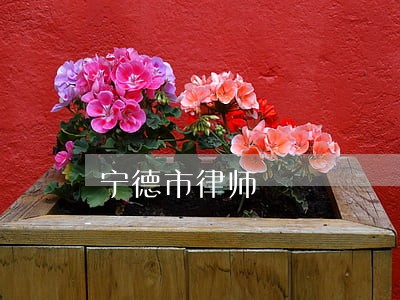 宁德市律师 宁德市律师