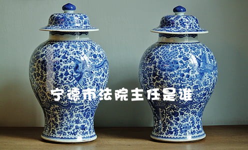 宁德市法院主任是谁 宁德市法院主任是谁