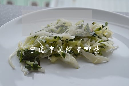 宁德市法院有哪些 宁德市法院有哪些