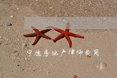 宁德房地产律师费用 宁德房地产律师费用