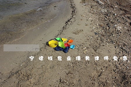宁德找专业债务律师免费咨询电话 宁德找专业债务律师免费咨询电话