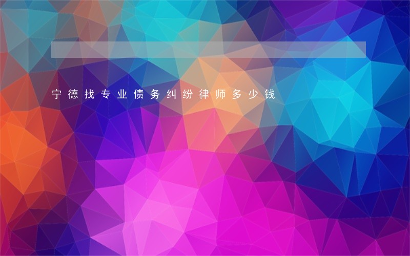 宁德找专业债务纠纷律师多少钱