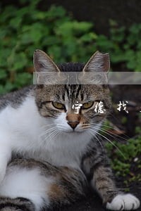 宁德找处理债务律师免费咨询 宁德找处理债务律师免费咨询