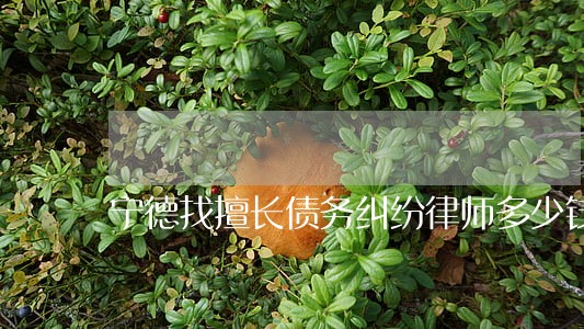 宁德找擅长债务纠纷律师多少钱 宁德找擅长债务纠纷律师多少钱