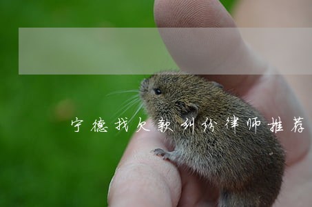 宁德找欠款纠纷律师推荐 宁德找欠款纠纷律师推荐