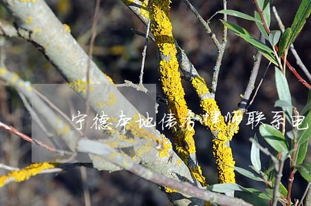 宁德本地债务律师联系电话 宁德本地债务律师联系电话