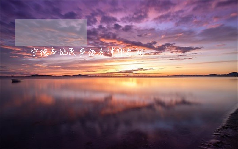 宁德本地民事债务律师咨询